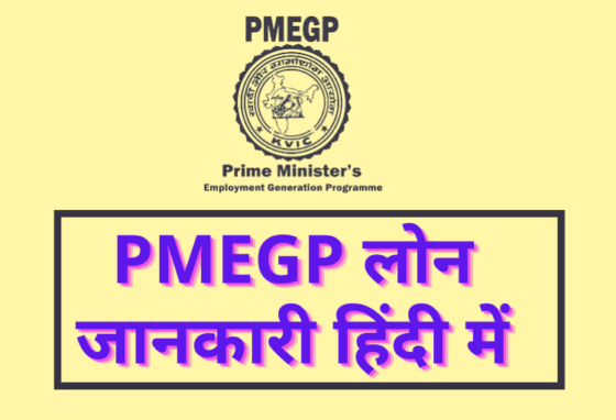 PMEGP Loan Details in Hindi