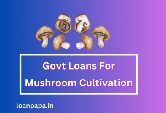 Govt Loans For Mushroom Cultivation