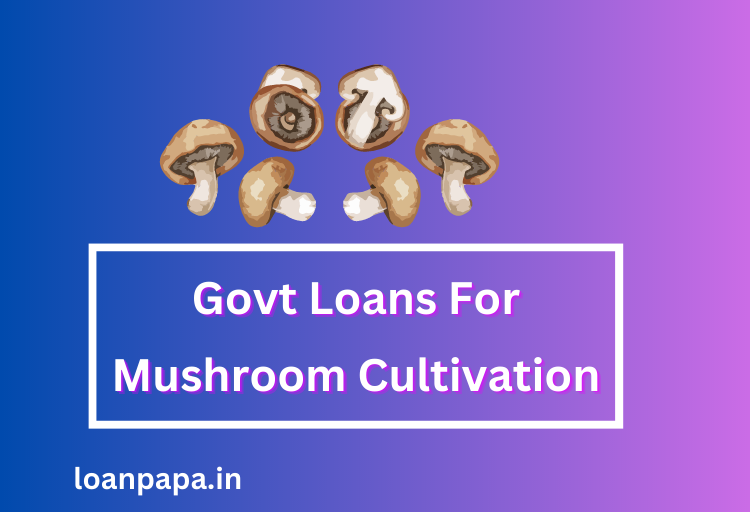 Govt Loans For Mushroom Cultivation 