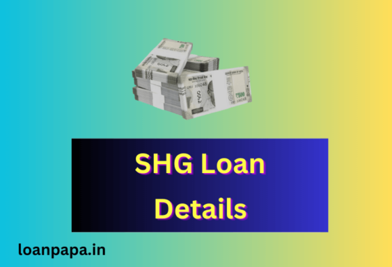 SHG Loan Details