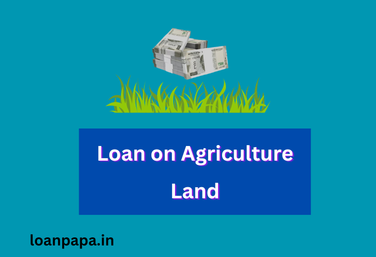 Loan on Agriculture Land